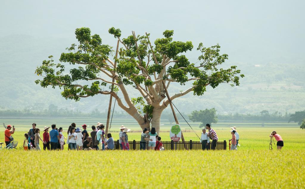 Flower Tamura Quang Sơn Ngoại thất bức ảnh